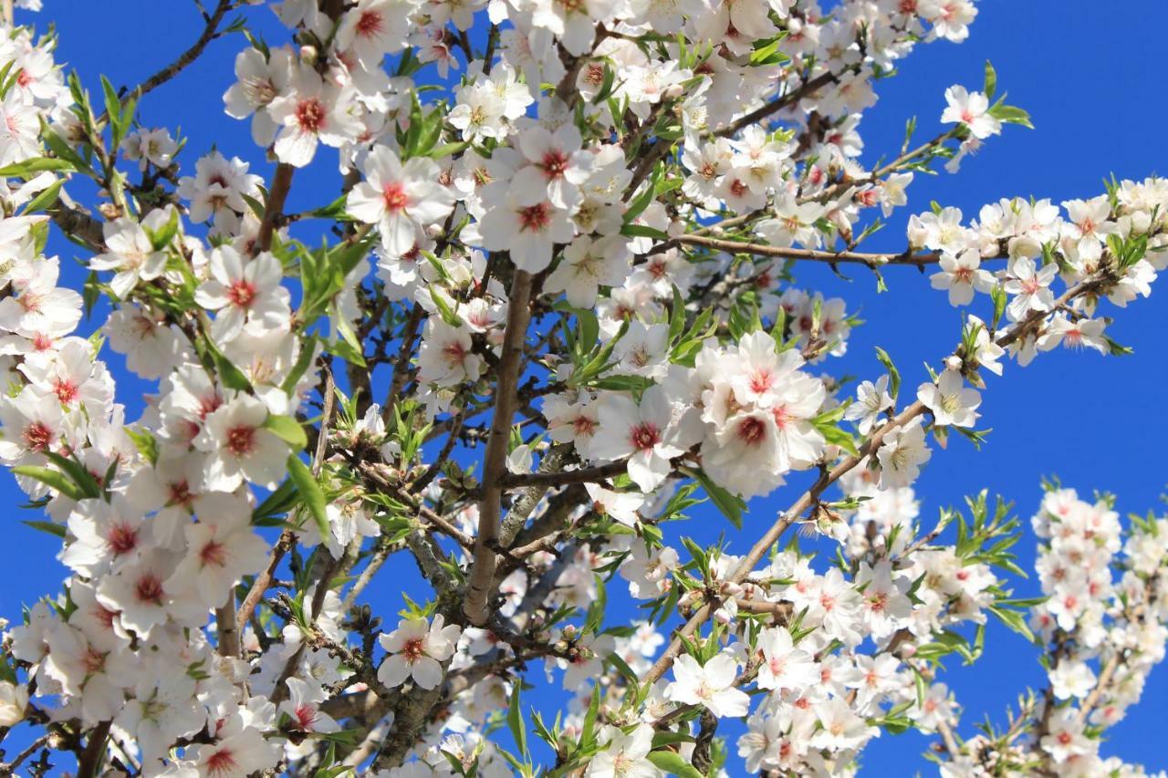 Casinha Dos Avos Villa Lagos Dış mekan fotoğraf
